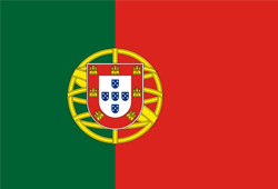 Translate English to Portuguese Translation